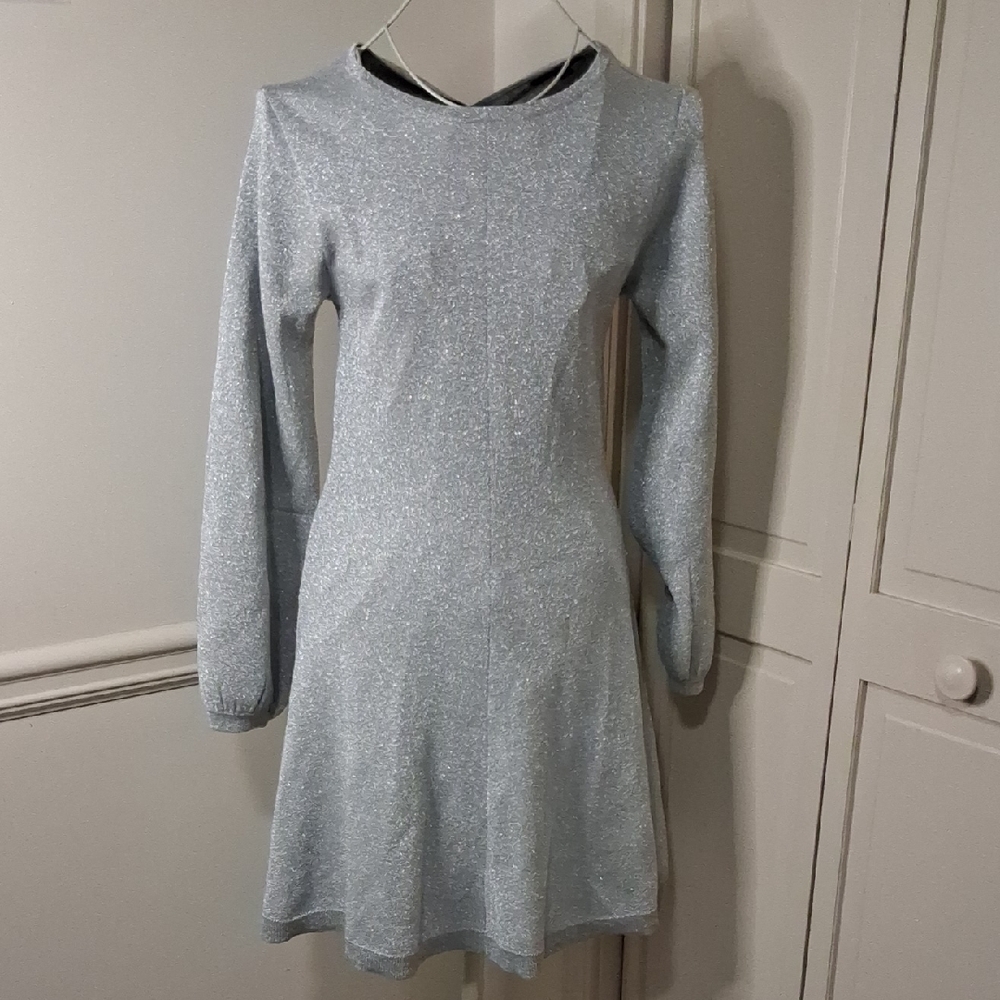 J. Crew Shimmering Silver Formal Dress